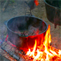 Cook food on campfire